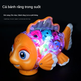 Máy Câu Cá Điện Tử Trong Suốt Phát Nhạc Đa Hướng