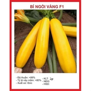 Hạt giống bí ngòi dài vàng (2 gram) - giòn ngọt, thơm ngon