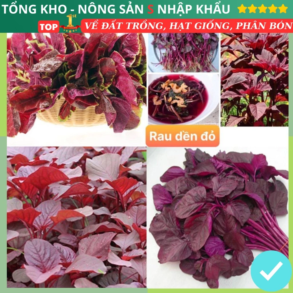 Hạt giống rau dền đỏ ỷ lệ nảy mầm cao kháng bệnh tốt gói 3000 hạt dễ trồng dễ chăm sóc có hướng dẫn