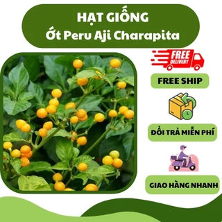 Hạt giống Ớt Peru Aji Charapita (5 hạt) - siêu cay, giàu dinh dưỡng