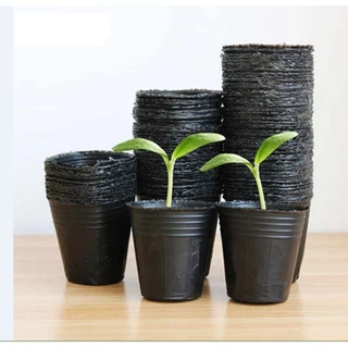 Combo 10 chậu nhựa ươm hạt, trồng cây C3 (8 x 8 x 6.5 cm)
