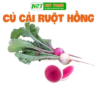 Hạt giống củ cải ruột hồng, 1gram - H2T FARM