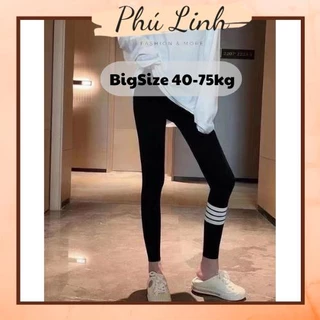 MS357 Quần legging thom sọc ngang cá tính