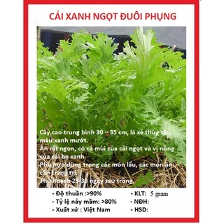 Hạt giống rau cải đuôi phụng (5 gram) - thơm ngon, dễ trồng, chịu nhiệt tốt