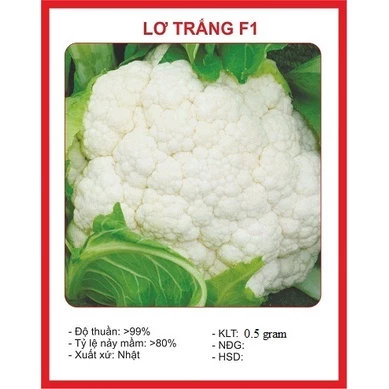 Hạt giống súp lơ trắng, bông cải trắng (0.5 gram) - dinh dưỡng, năng suất cao