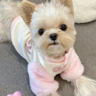 Mèo Thú Cưng Teddy Áo Schnauzer Ấm Chó Con Mùa Đông Thu Đông Quần Áo Quần Áo Pomeranian Bichon