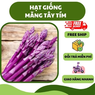 Hạt giống măng tây tím (20 hạt) - giòn ngọt, nhiều dinh dưỡng