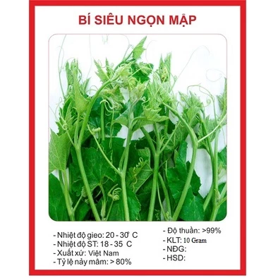 Hạt giống bí siêu ngọn (10 gram) - dễ trồng, ăn ngon, trồng quanh năm