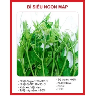 Hạt giống bí siêu ngọn (10 gram) - dễ trồng, ăn ngon, trồng quanh năm