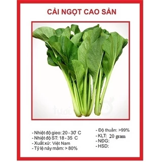 Hạt giống cải ngọt cao sản (20 gram) - thơm ngon, trồng quanh năm