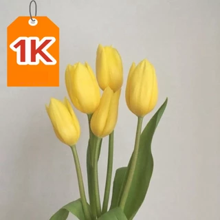 Củ hoa tulip(tuylip) Janderwith Hà lan nhiều chọn màu( ra hoa sau 20ngày)