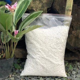 Đá Perlite / Giá thể trồng kiểng lá/ Đá Trân Châu trồng cây