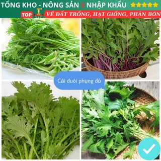 Hạt Giống Rau Cải Đuôi Phụng Siêu Sạch loại dễ trồng dễ chăm sóc tỉ lệ lên mầm cao có hướng dẫn