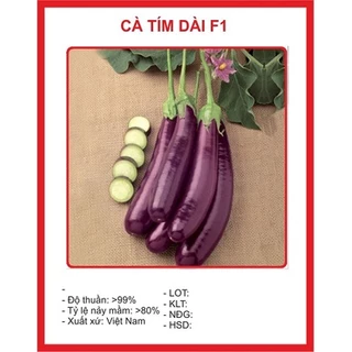 Hạt giống cà tím f1 cao sản (0.5 gram) - dễ trồng, cho năng suất cao