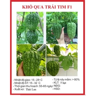 Hạt giống khổ qua trái tim F1 ( 5 hạt) - trái to, nhiều dinh dưỡng