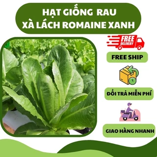 Hạt giống rau xà lách romaine xanh (1500 hạt) - nhiều dinh dưỡng, giòn ngọt