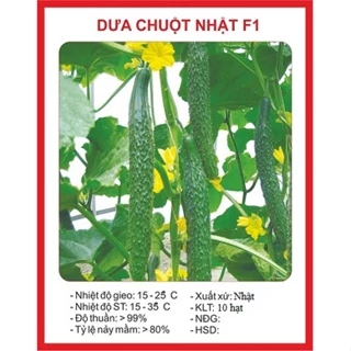 Hạt giống dưa chuột nhật dễ trồng (10 hạt) - trái dài, năng suất cao, trồng quanh năm