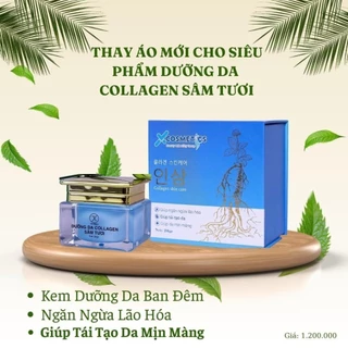 Kem 11 Kem collagen Sâm Tươi Tx cosmetic