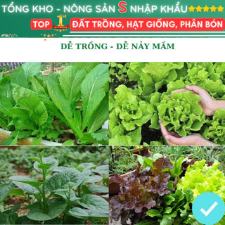 Hạt giống rau, dễ nảy mầm, thu hoạch nhanh dễ trồng tỉ lên mầm cao