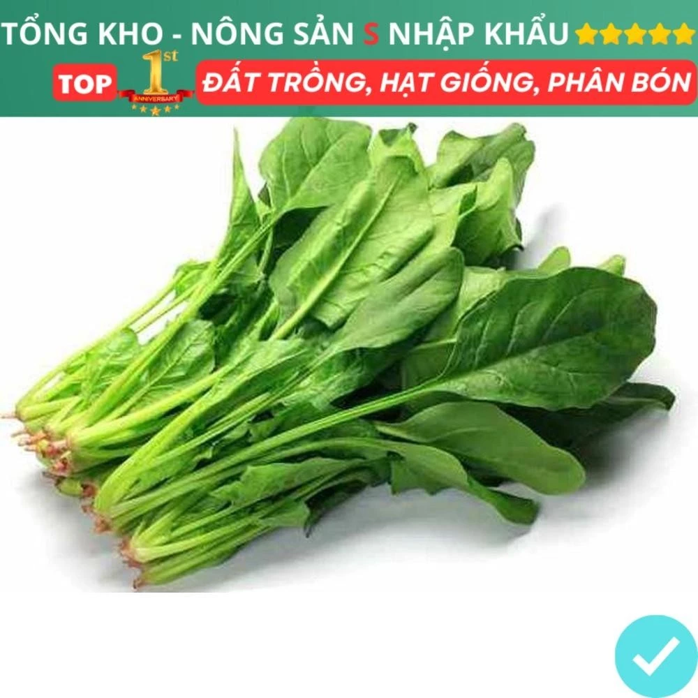 Hạt giống Rau củ quả - Rau ăn lá trồng quanh năm, sinh trưởng khỏe