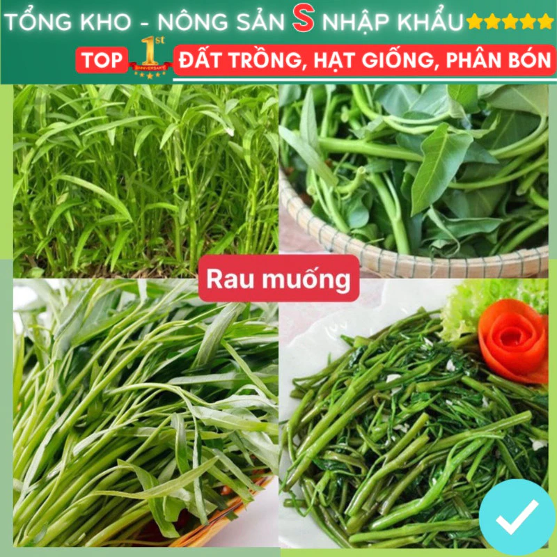 Hạt giống rau muống F1 lá tre dễ trồng tỷ lệ nảy mầm cao gói 500 hạt