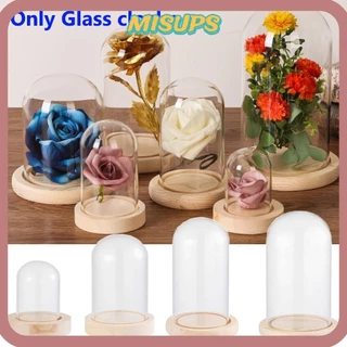 Misups Kính cloche Trang Trí Nhà Cổ Tích Đèn Bình Thủy Tinh Terrarium Lọ Hoa Hộp Bảo Quản