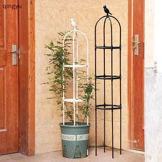 Mới 1 Bộ Cây Leo Trellis Vườn Hỗ Trợ Lồng Cho Hoa Cây Hỗ Trợ Khung Trellis Leo DIY Chậu Hoa Đứng Tốt