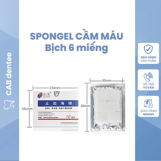 Spongel bông xốp cầm máu Nha khoa