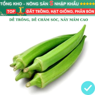 Hạt Giống Đậu Bắp Cao Sản F1 dễ trồng dễ nảy mầm thu hoạch năng xuất cao