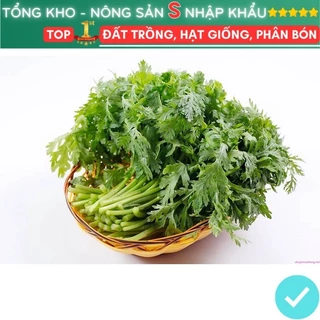 Hạt giống cải cúc 20gr (rau tần ô) F1 dễ trồng dễ thu hoạch