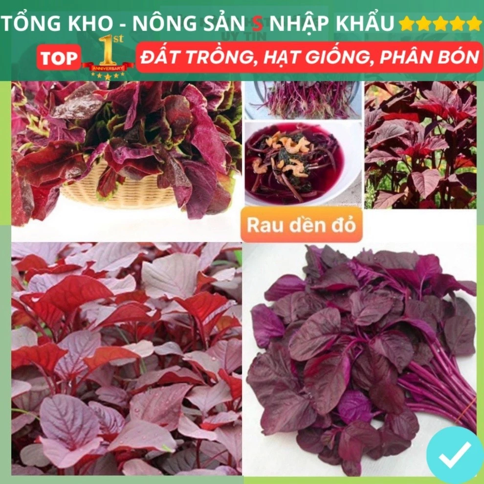 Hạt giống rau dền đỏ ỷ lệ nảy mầm cao kháng bệnh tốt gói 3000 hạt f1 dễ trồng