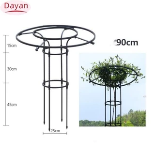 Khuyến mãi đặc biệt! Vườn tròn Trellis, Khung thép đen Tháp Trellis, Leo núi sân vườn bằng thép dọc