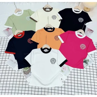 Áo thun nữ babytee ngắn tay size dưới 52kg vải cotton co giãn dày dặn rẻ đẹp AT14