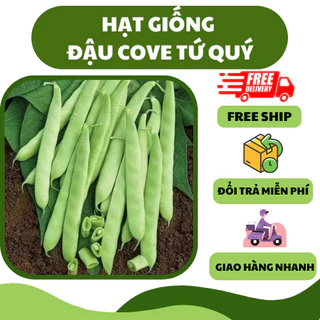 Hạt giống đậu cove tứ quý dạng leo (10 gram ) - thơm ngon, dễ trồng, trồng quanh năm