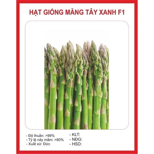 Hạt giống măng tây xanh (20 hạt) - sống khoẻ, tỉ lệ nảy mầm cao, trồng quanh năm