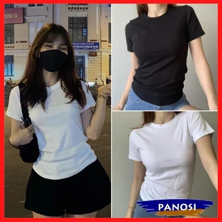 Áo thun nữ baby tee áo babytee trơn basic form ôm chất thun tăm co giãn A157 PANOSI