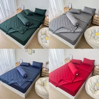 Bộ chăn ga gối 5 món thun lạnh chần bông hàn quốc REE Bedding TL262 đủ size giường nệm