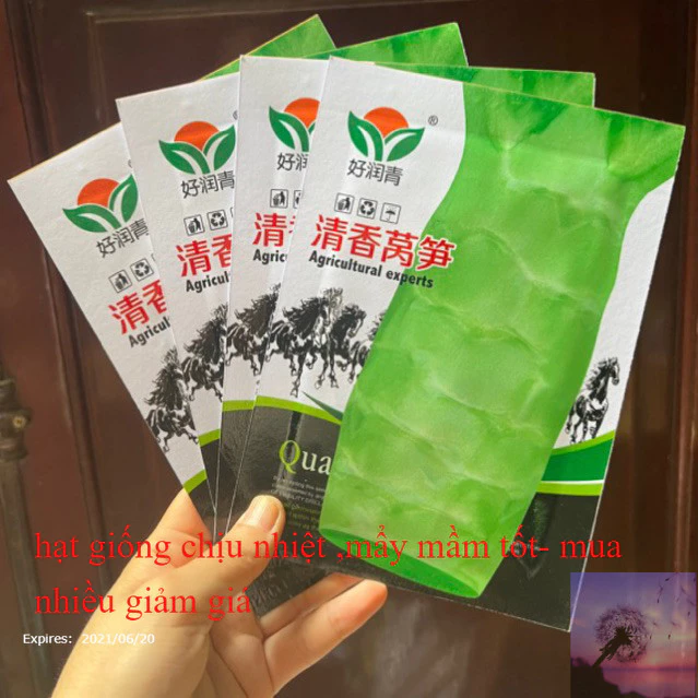 Hạt giống Rau Tiến Vua Xanh Nhập Khẩu - Gói 5 gram (350 Hạt) - Nảy mầm 85%