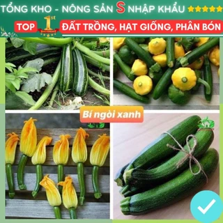 [Gói 30 hạt] Hạt Giống Bí Ngòi Xanh F1 Loại Siêu Dễ Trồng, Dễ Chăm Sóc