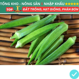 Hạt Giống Đậu Bắp Xanh Cao Sản F1 Tỉ Lệ Nảy Mầm Cao