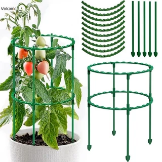 Vườn Cây Hỗ Trợ Lồng Nửa Tròn Giá Đỡ Hoa Cổ Phần Nhựa Chậu Hoa Leo Trellis Orchard Rod Vật Dụng Làm Vườn