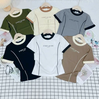 Áo Babytee Viền Tay C'ÉT LA VIE Nhiều Màu Borip 4 Chiều - Thiên An Shop