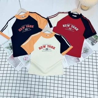 Áo Babytee Phối Màu New York Borip Quảng Châu Co Dãn 4 Chiều - Thiên An Shop