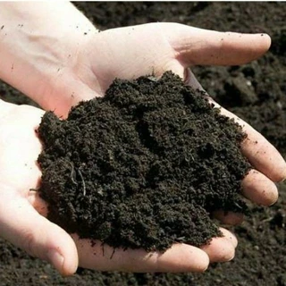 1kg đất sạch trồng cây, đất giàu dinh dưỡng chuyên trồng hoa, cây cảnh, rau củ quả