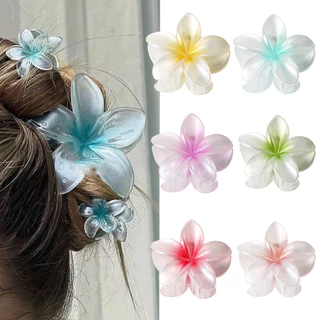 Móng Vuốt Kẹp Tóc Hoa Màu Gradient Kẹp Tóc Mini Gà Kỳ Nghỉ Mùa Hè Frangipani Kẹp Tóc Châu Âu Mỹ ins Phong Cách Đi Biển Kẹp Tóc