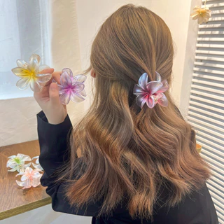 8cm Kích Thước Lớn Ngọc Trai Hoa Trứng Hoa Gước Kẹp Gradient Hoa Kẹp Tóc Fashionupdo Cá Mập Kẹp Tóc