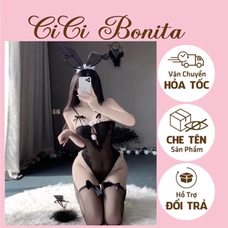 Bodysuit ren xuyên thấu kèm phụ kiện hóa trang Thỏ bunny gợi cảm CP125 CICI BONITA HCM