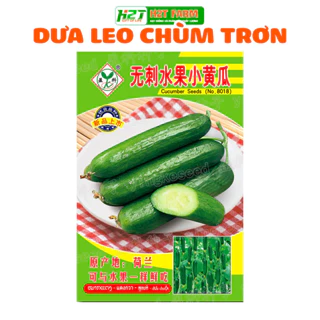 Hạt Giống Dưa Leo Baby Chùm Trơn - H2T FARM