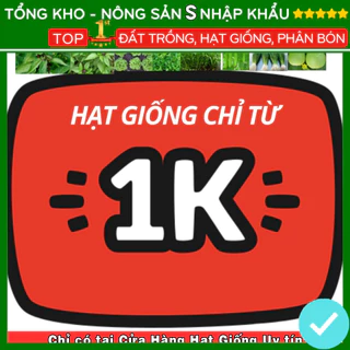 Deal 1k - Hạt giống hoa F1, tỉ lệ nảy mầm cao dễ trồng dễ chăm sóc