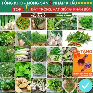 Hạt Giống Gia Vị F1, Nhiều Loại, Trồng Chậu, Dễ Trồng, Chịu Nhiệt, Trồng Quanh Năm, Năng Suất Dễ Thu Hoạch